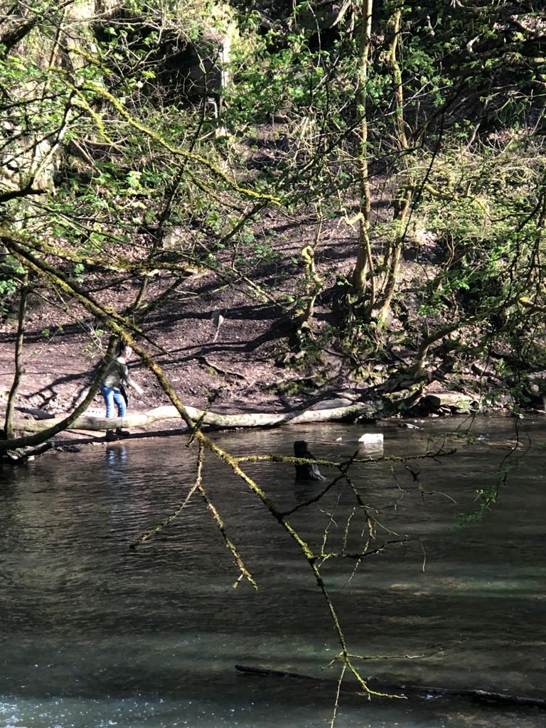 英國人行山都會帶着狗狗作伴，有時看到小狗落到河裡游水。